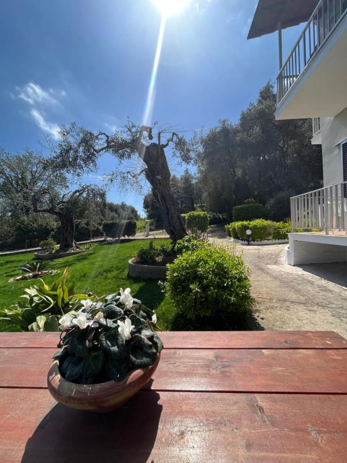 Ilias Apartments Dassia By Hotelius エクステリア 写真